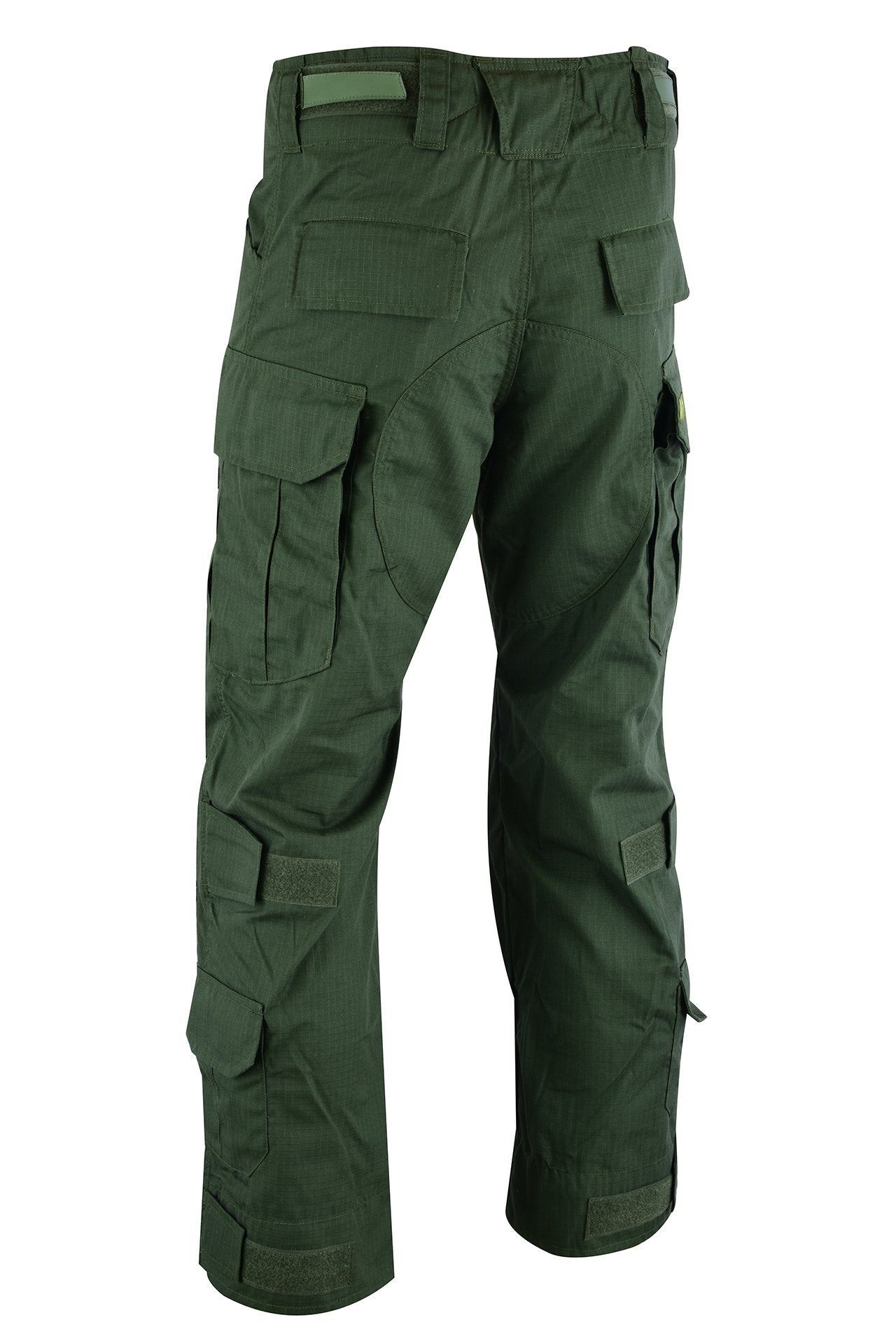 SHS-1659 XRAY PANT